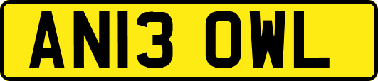 AN13OWL