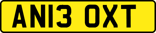 AN13OXT