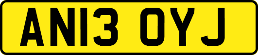 AN13OYJ