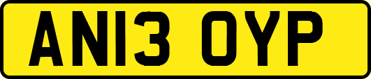 AN13OYP