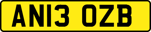 AN13OZB