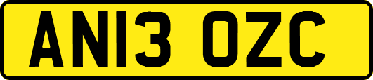 AN13OZC