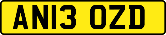 AN13OZD