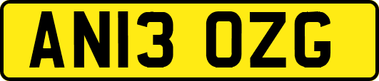 AN13OZG