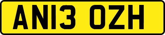 AN13OZH