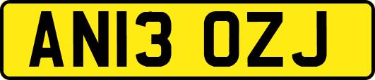 AN13OZJ