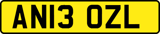 AN13OZL
