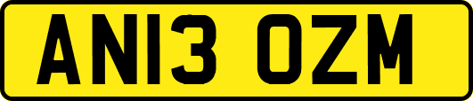 AN13OZM