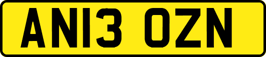 AN13OZN