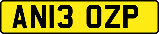 AN13OZP