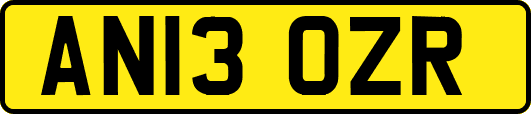 AN13OZR