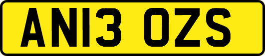 AN13OZS