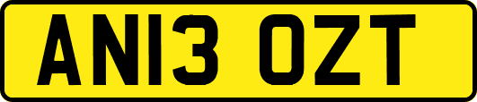 AN13OZT
