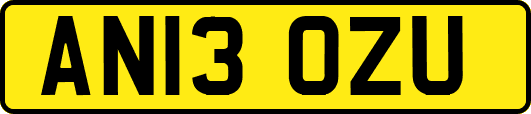 AN13OZU