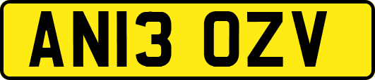 AN13OZV