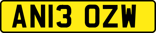 AN13OZW
