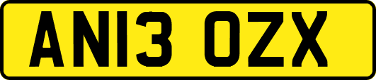 AN13OZX