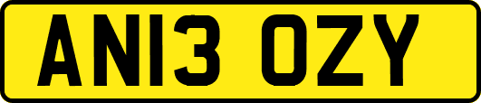 AN13OZY