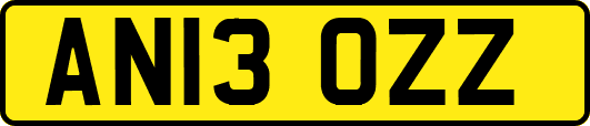 AN13OZZ