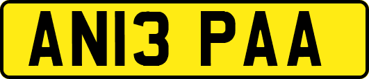 AN13PAA