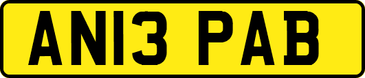 AN13PAB