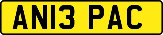AN13PAC