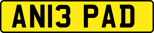 AN13PAD