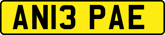 AN13PAE