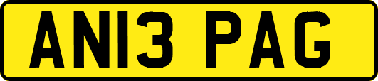 AN13PAG