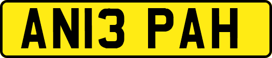 AN13PAH