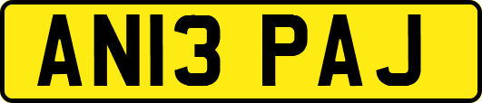 AN13PAJ