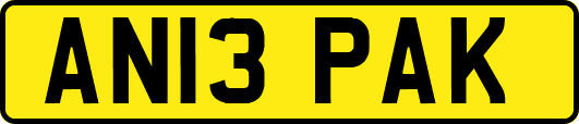 AN13PAK