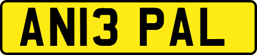 AN13PAL