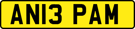 AN13PAM