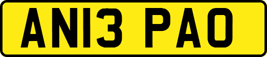 AN13PAO