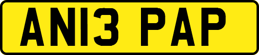 AN13PAP