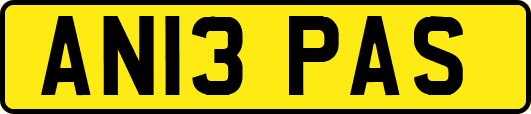 AN13PAS