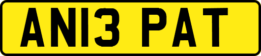 AN13PAT