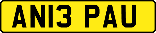 AN13PAU
