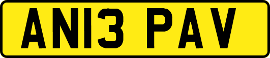 AN13PAV