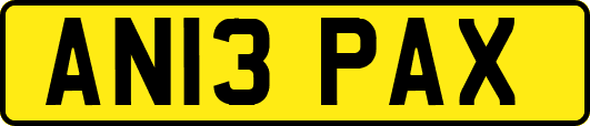 AN13PAX