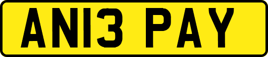 AN13PAY