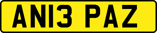 AN13PAZ
