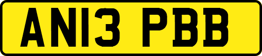 AN13PBB