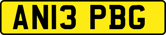 AN13PBG