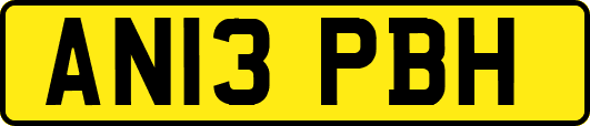 AN13PBH