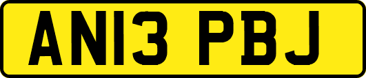 AN13PBJ