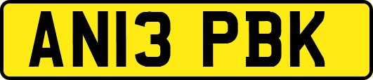 AN13PBK
