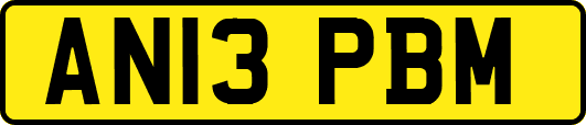 AN13PBM