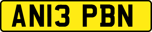 AN13PBN